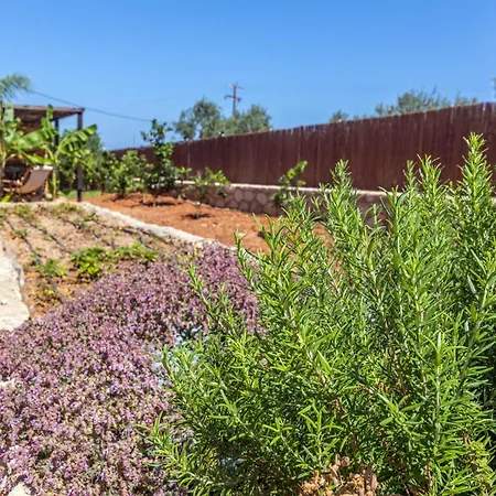 Apartamento γηorganic Farm And Houses. *